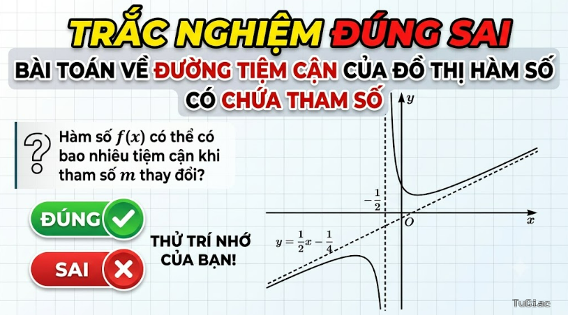 Trắc nghiệm đúng sai Bài toán về đường tiệm cận của đồ thị hàm số có chứa tham số
